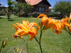 Alquiler temporario de cabana em El rincón