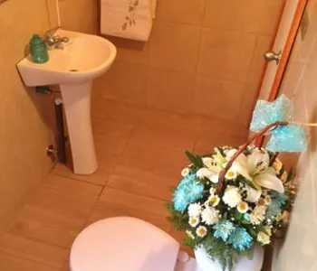 Arriendo temporario de cabana em Villarrica