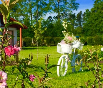 Arriendo temporario de cabana em Villarrica