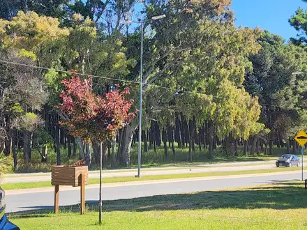 Alquiler temporario de casa en Necochea