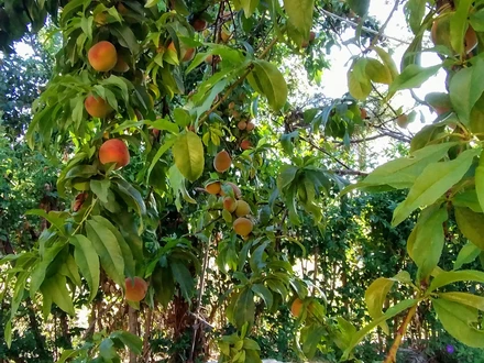 Alquiler temporario de casa em Merlo