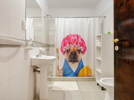 Alquiler temporario de apartamento em San rafael
