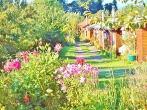 Arriendo temporario de cabaña en Villarrica