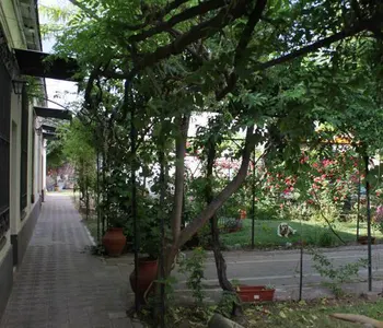 Alquiler temporario de departamento en Luj&aacute;n de cuyo