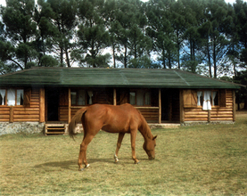 Alquiler temporario de cabana em Tandil