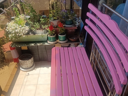 Arriendo temporario de departamento en Vi&ntilde;a del mar