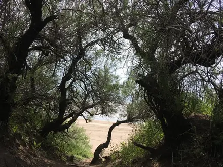 Alquiler temporario de casa en San clemente del tuyu