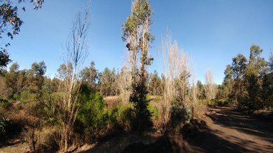 Arriendo temporario de casa de campo em Biobio