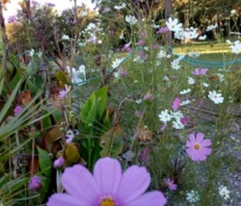 Alquiler temporario de casa quinta en Santa m&oacute;nica