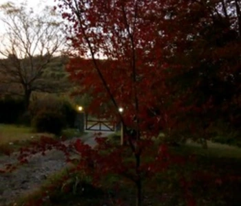 Alquiler temporario de casa quinta en Santa m&oacute;nica