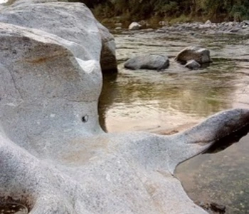 Alquiler temporario de casa quinta en Santa m&oacute;nica