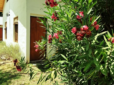 Alquiler temporario de caba&ntilde;a en San rafael