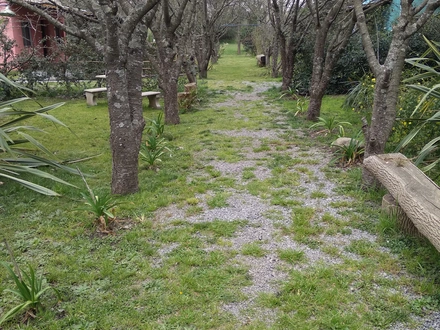 Alquiler temporario de caba&ntilde;a en Tandil