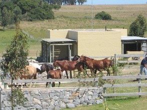 Alquiler temporario de casa em Punta del este