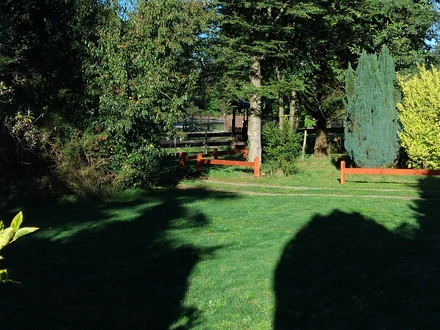 Arriendo temporario de caba&ntilde;a en Panguipulli