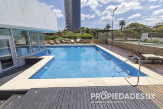 Alquiler temporario de apartamento em Punta del este