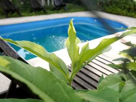 Alquiler temporario de casa en Santa rosa de calamuchita