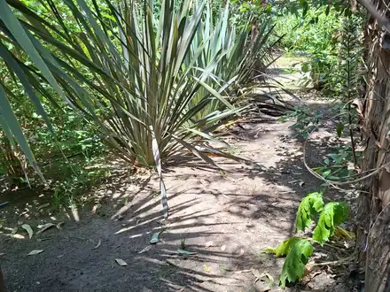 Alquiler temporario de cabana em Necochea