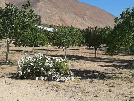 Arriendo temporario de caba&ntilde;a en Horc&oacute;n