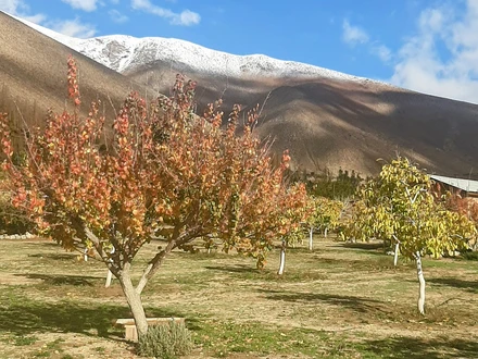 Arriendo temporario de caba&ntilde;a en Horc&oacute;n