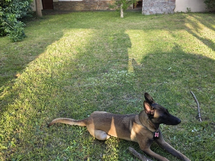 Alquiler temporario de casa en Aguas verdes