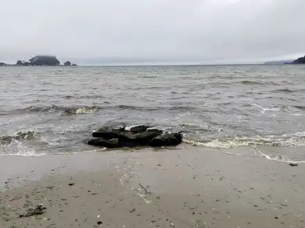 Arriendo temporario de departamento en Concepcion