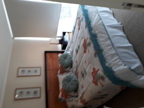 Arriendo temporario de departamento en Viña del mar