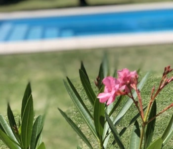 Alquiler temporario de casa en Villa carlos paz