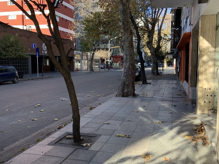 Alquiler temporario de departamento en Mar del plata