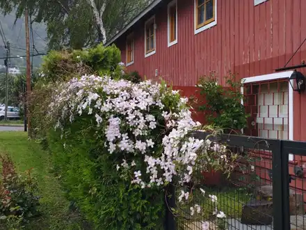 Alquiler temporario de cabana em San martín de los andes