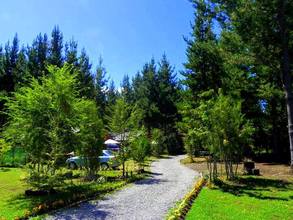 Arriendo temporario de cabana em Pucon