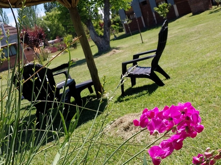 Alquiler temporario de caba&ntilde;a en Pedro vargas