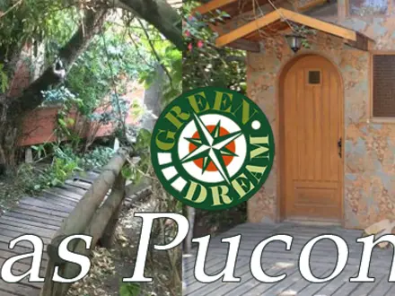 Arriendo temporario de cabana em Pucon