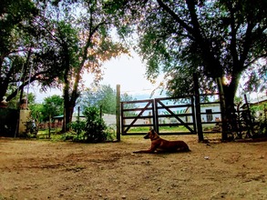 Alquiler temporario de casa em Cosquin