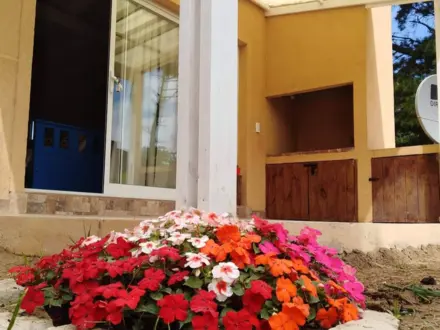 Alquiler temporario de casa em La caleta