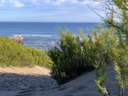 Alquiler temporario de casa em Necochea
