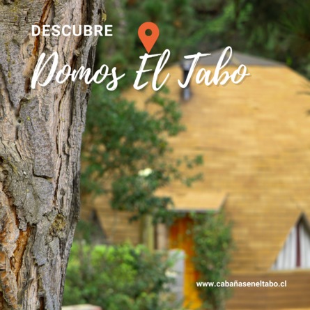 Arriendo temporario de cabana em El tabo