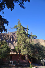 Alquiler temporario de cabana em Purmamarca