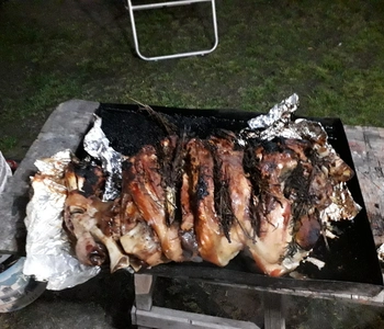 Alquiler temporario de casa en Mar del plata