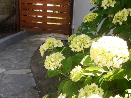 Alquiler temporario de apartamento em Villa gesell