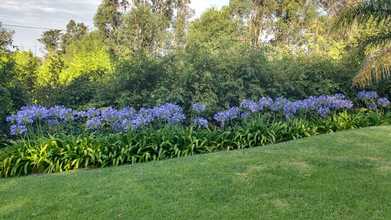 Alquiler temporario de casa en Sierra de los padres
