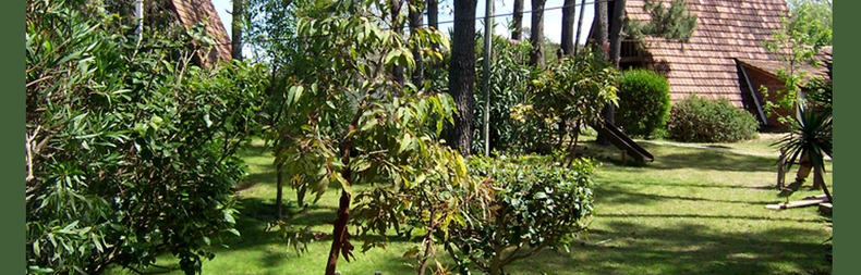 Alquiler temporario de cabaña en La paloma