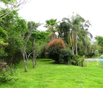 Alquiler temporario de casa quinta en San lorenzo