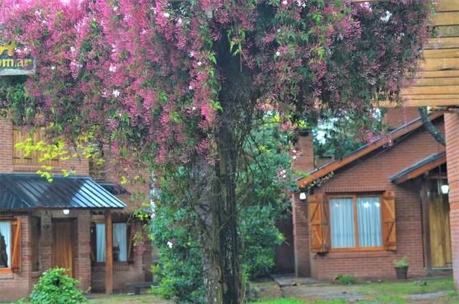 Alquiler temporario de cabana em Costa del este