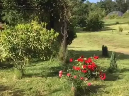 Arriendo temporario de cabana em Cautín