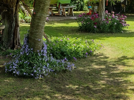 Alquiler temporario de casa en Tandil
