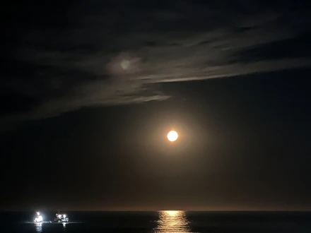 Alquiler temporario de apartamento em Mar del plata