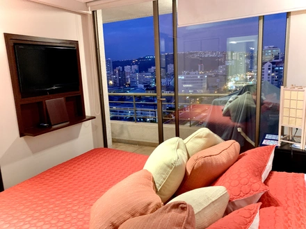 Arriendo temporario de departamento en Vi&ntilde;a del mar