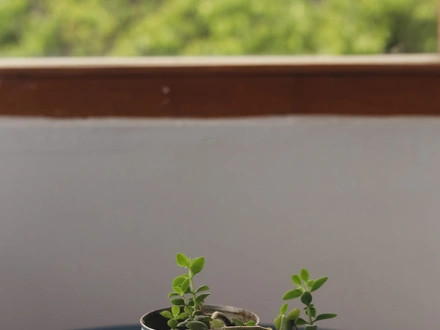 Alquiler temporario de apartamento em San carlos de bariloche