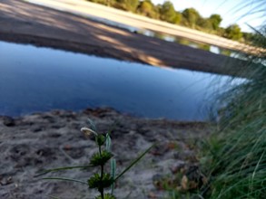 Alquiler temporario de apartamento em Arroyo de los patos